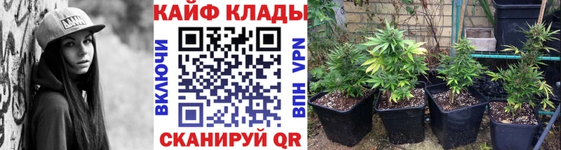 Наркошоп Давлеканово Альфа ПВП  Меф мяу мяу  Cocaine  ГАШИШ  АМФЕТАМИН  Канабис 