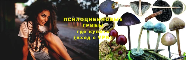 дмт Богородицк