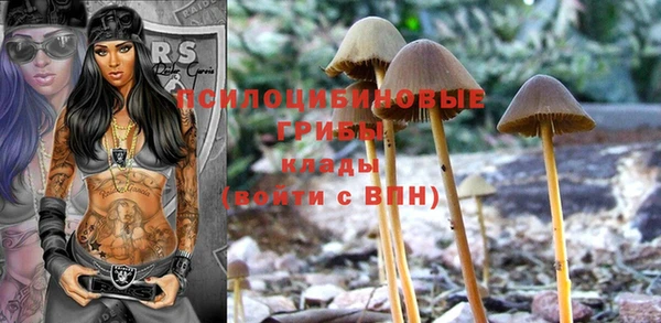 ПСИЛОЦИБИНОВЫЕ ГРИБЫ Белоозёрский
