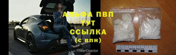 ПСИЛОЦИБИНОВЫЕ ГРИБЫ Белоозёрский