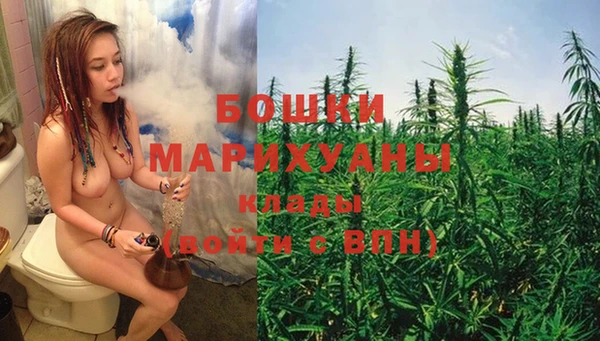 ПСИЛОЦИБИНОВЫЕ ГРИБЫ Белокуриха