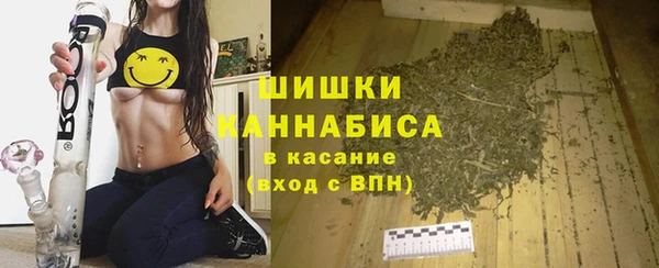 спиды Богородск