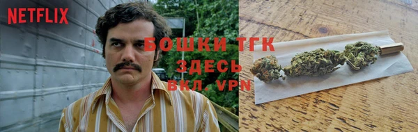 ПСИЛОЦИБИНОВЫЕ ГРИБЫ Белокуриха