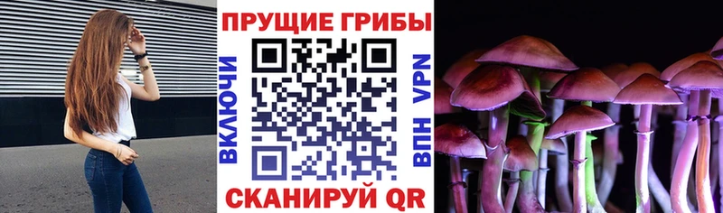 МЕГА ссылки  Давлеканово  Галлюциногенные грибы MAGIC MUSHROOMS 